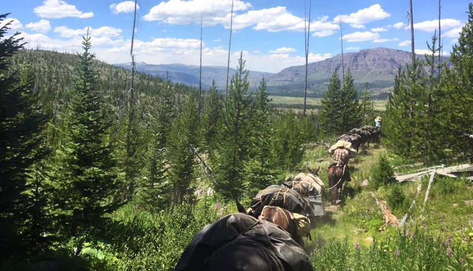 Bighorn River Fly Fishing Guides