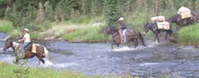 Horseback Fishing trips outside of Bozeman, Montana