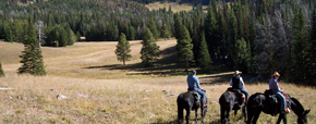 Horseback Rides in Yellowstone National Park